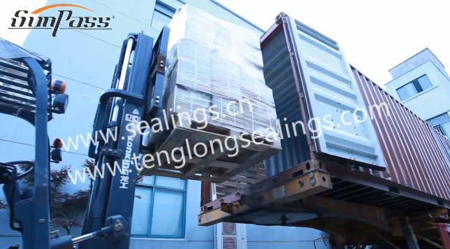 Tenglong-sleeve2.jpg